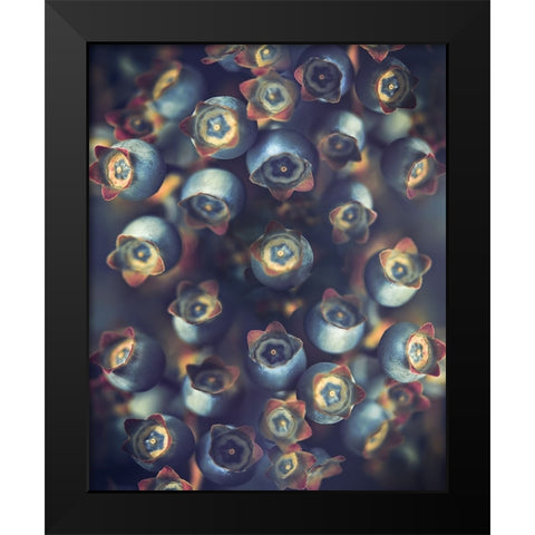 Blueberries Black Modern Wood Framed Art Print by Zvinakeviciute, Kristina