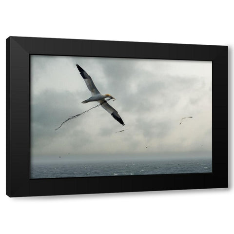 For The Nest Black Modern Wood Framed Art Print by Pino, Emilio