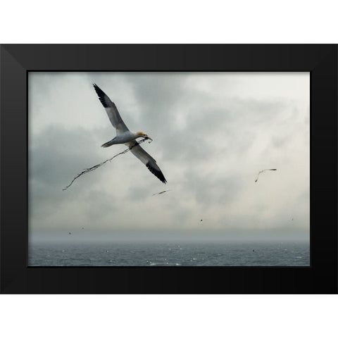 For The Nest Black Modern Wood Framed Art Print by Pino, Emilio