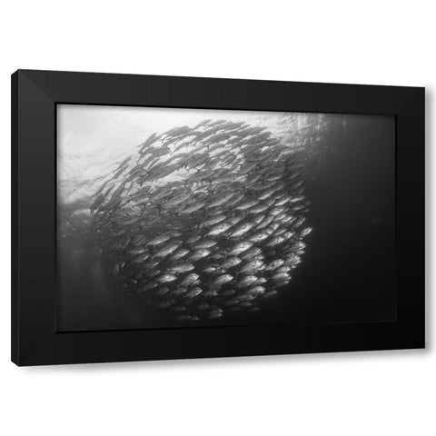 Ball Black Modern Wood Framed Art Print with Double Matting by Y Lin, Ryan