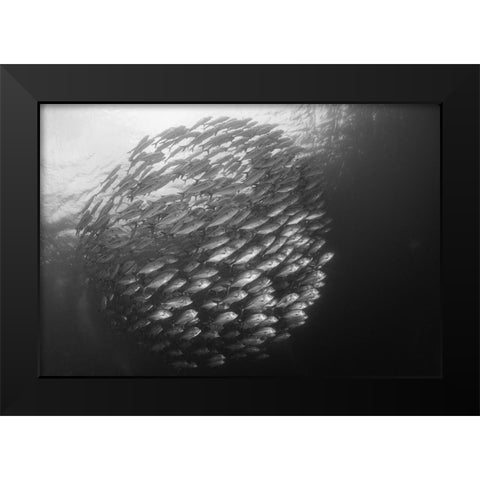 Ball Black Modern Wood Framed Art Print by Y Lin, Ryan