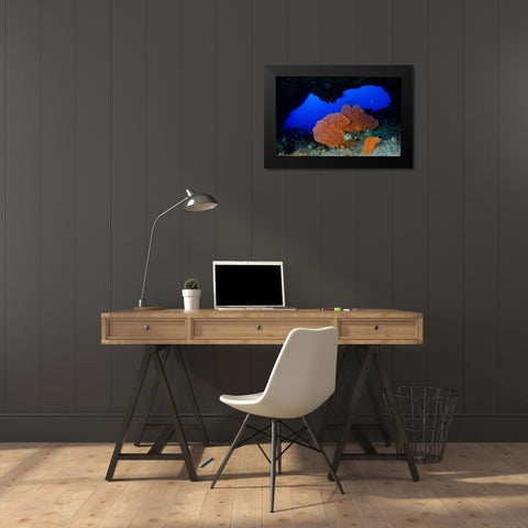 Red Sea Fan Black Modern Wood Framed Art Print by Y Lin, Ryan