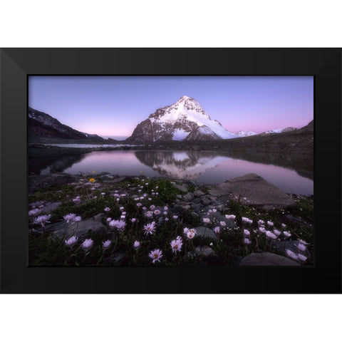 Dawn Black Modern Wood Framed Art Print by Hao, Damon