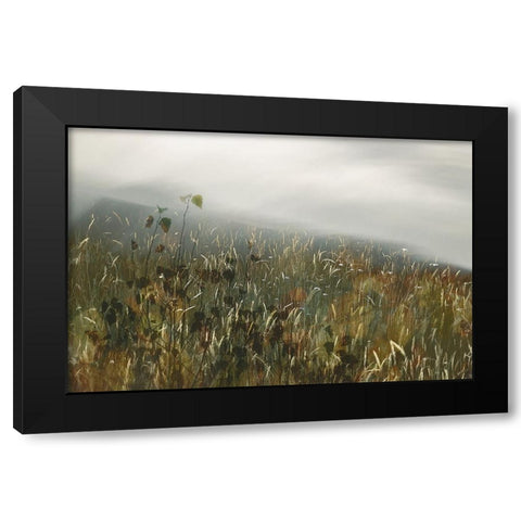 In the field Black Modern Wood Framed Art Print by Talen, Nel