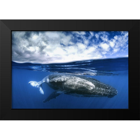 Between two worlds Black Modern Wood Framed Art Print by Peneau, Cedric