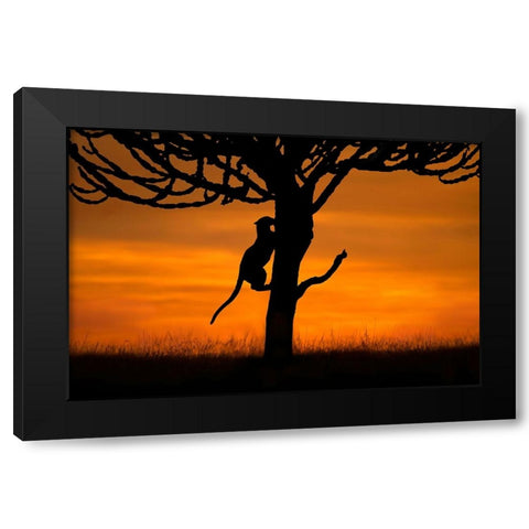 Back home Black Modern Wood Framed Art Print with Double Matting by Ortega, Xavier