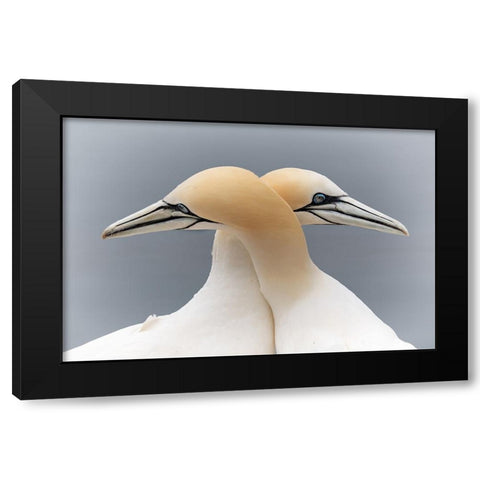 Symmetric Love Black Modern Wood Framed Art Print by Patrick, Boterman