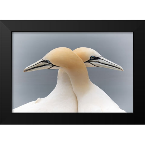 Symmetric Love Black Modern Wood Framed Art Print by Patrick, Boterman