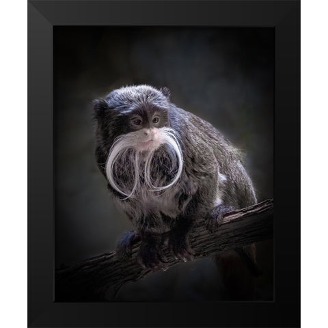 I Need A Trim Black Modern Wood Framed Art Print by Mugg, Bill