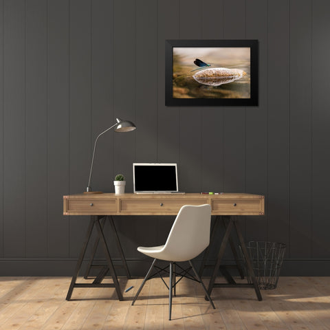 Damselfly Black Modern Wood Framed Art Print by Deng, Ivy