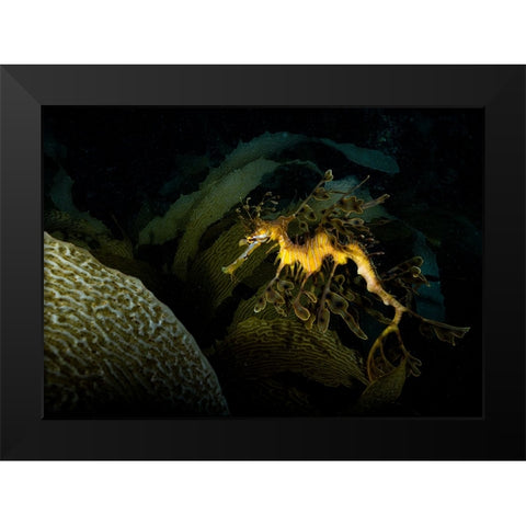 Mimicry Black Modern Wood Framed Art Print by Ichinoseki, Sayaka