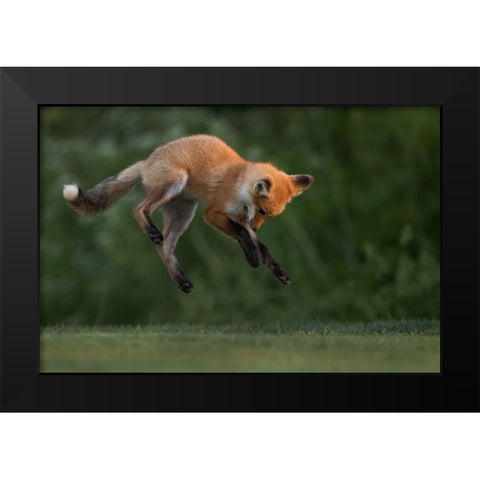 High Jumper Black Modern Wood Framed Art Print by Lu, Bill