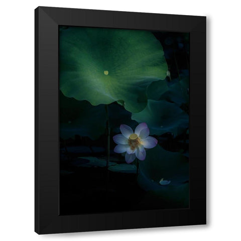 Comfort Zone! Black Modern Wood Framed Art Print with Double Matting by Tseng, Judy
