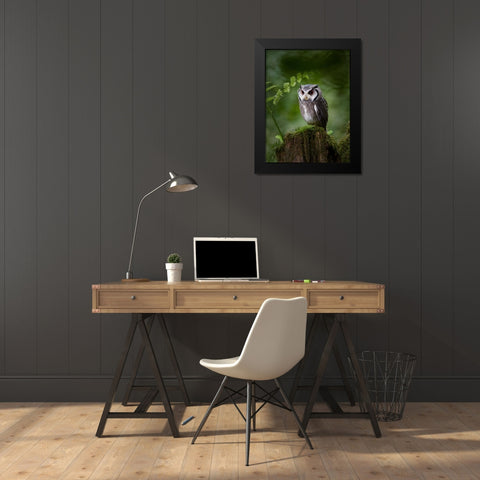 In The Deep Dark Forest Black Modern Wood Framed Art Print by Groth, Martin