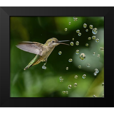 In The World Of Crystals Black Modern Wood Framed Art Print by Huang, Xiaojian