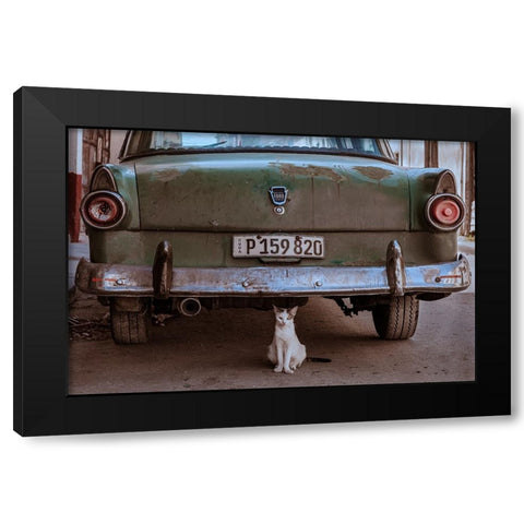Cuban Cat With Car Black Modern Wood Framed Art Print by Bauer, Andreas