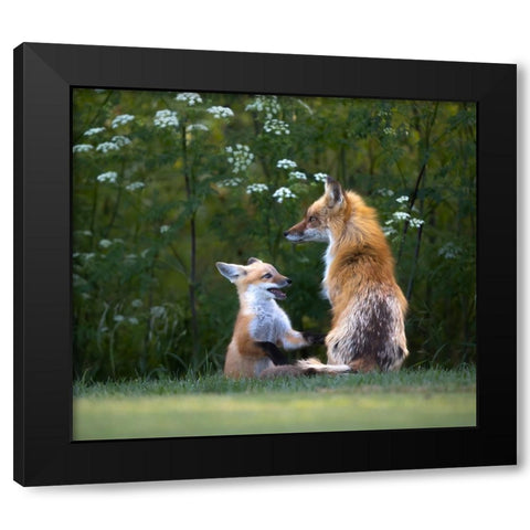 Mommy IM Hungry ! Black Modern Wood Framed Art Print with Double Matting by Tseng, Judy