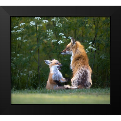 Mommy IM Hungry ! Black Modern Wood Framed Art Print by Tseng, Judy