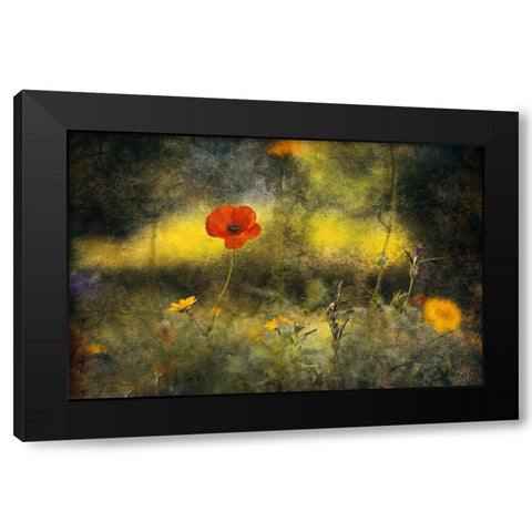 Poppy Black Modern Wood Framed Art Print by Van Der, Jan
