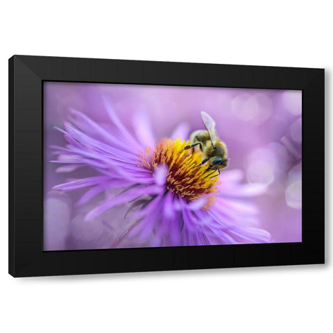 Hard Worker Black Modern Wood Framed Art Print with Double Matting by Kazun, Andrii