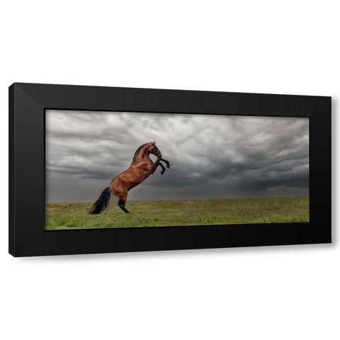The king of the fields Black Modern Wood Framed Art Print with Double Matting by Weerink, Celine