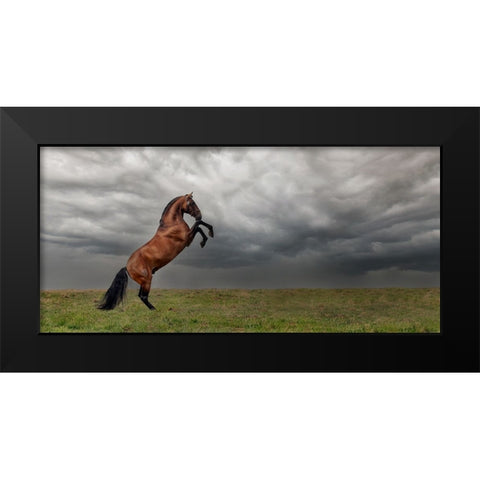 The king of the fields Black Modern Wood Framed Art Print by Weerink, Celine