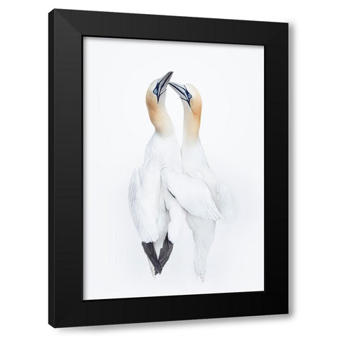 Love In The Air Black Modern Wood Framed Art Print by Fu, Molly