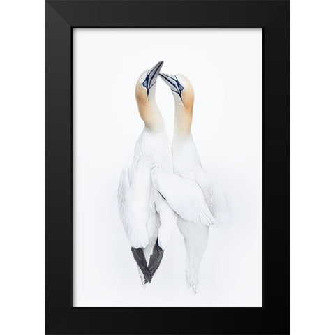 Love In The Air Black Modern Wood Framed Art Print by Fu, Molly