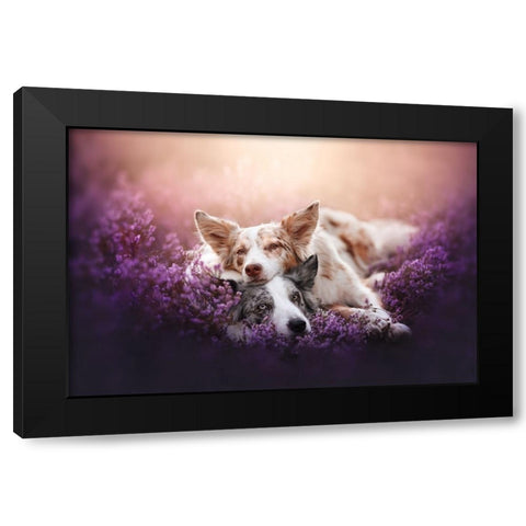 Fluffy Pillow Black Modern Wood Framed Art Print by Shandor, Ve