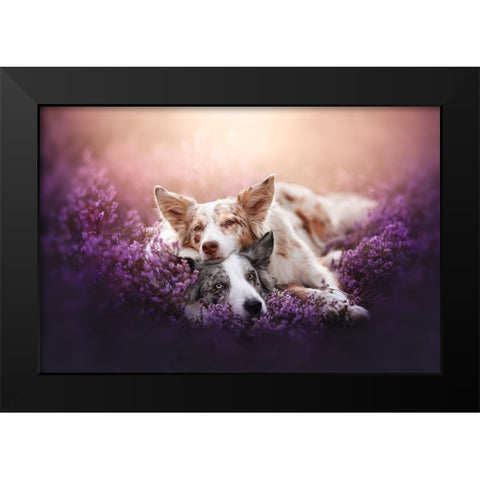 Fluffy Pillow Black Modern Wood Framed Art Print by Shandor, Ve