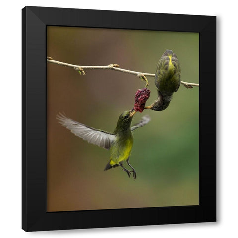 Share Black Modern Wood Framed Art Print with Double Matting by Muliani Hartojo, Angela