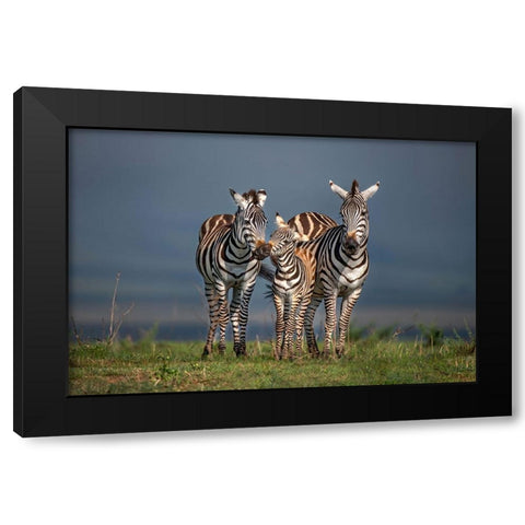 Family Portrait Black Modern Wood Framed Art Print with Double Matting by Ortega, Xavier
