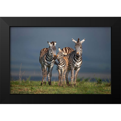 Family Portrait Black Modern Wood Framed Art Print by Ortega, Xavier
