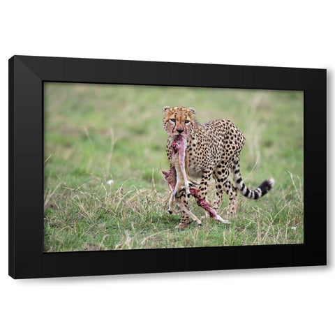 Kill Black Modern Wood Framed Art Print with Double Matting by Pozzi, Marco