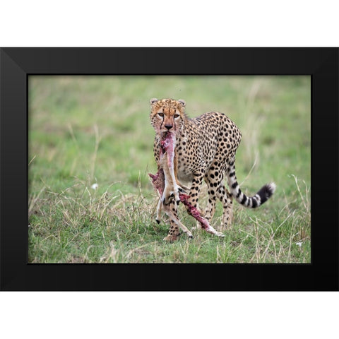 Kill Black Modern Wood Framed Art Print by Pozzi, Marco