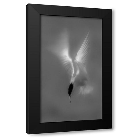 Searching Black Modern Wood Framed Art Print by Zhang, Mei