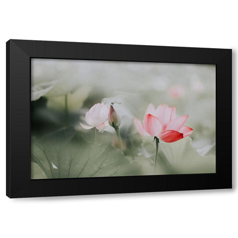 Beauty Black Modern Wood Framed Art Print by Kim, Youngil