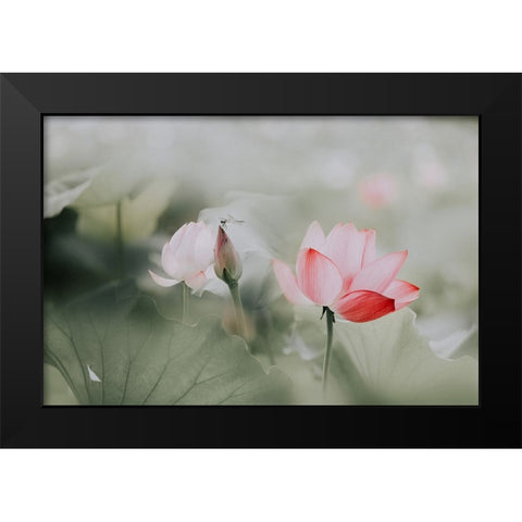 Beauty Black Modern Wood Framed Art Print by Kim, Youngil