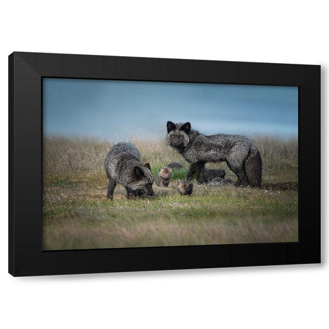 Silver Fox Family Black Modern Wood Framed Art Print with Double Matting by Deng, Larry