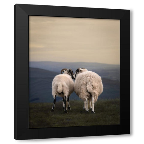 Yorkshire Love Black Modern Wood Framed Art Print with Double Matting by Brants, Armands