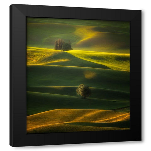 Golden Hours Of The Palouse Black Modern Wood Framed Art Print with Double Matting by Zhang, Joan
