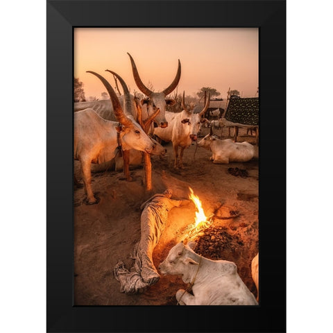 My Resting Place Black Modern Wood Framed Art Print by Cole, Trevor