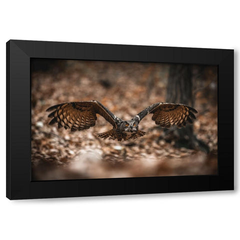 The Eurasian Eagle-Owl (Bubo Bubo) Black Modern Wood Framed Art Print by Rozehnal, Jan