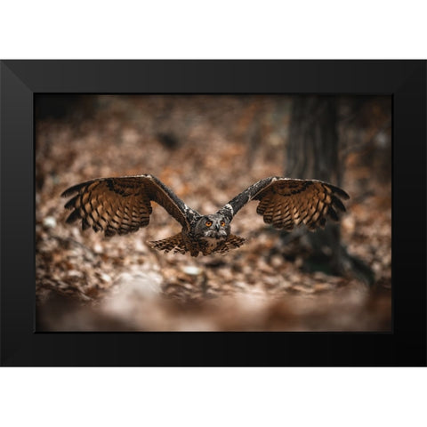 The Eurasian Eagle-Owl (Bubo Bubo) Black Modern Wood Framed Art Print by Rozehnal, Jan