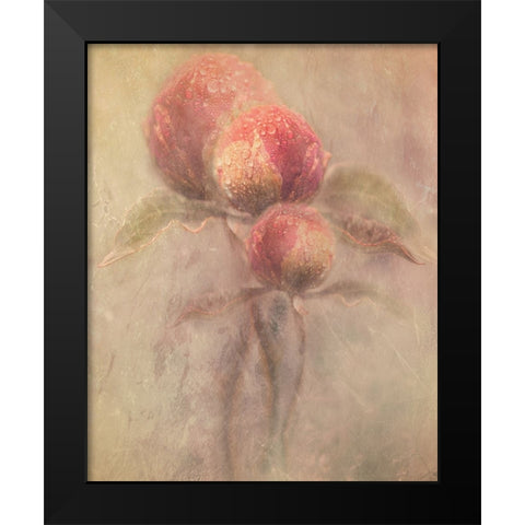 Peonies Black Modern Wood Framed Art Print by Zvinakeviciute, Kristina