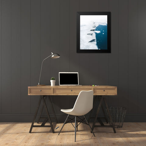 Seal Gang Black Modern Wood Framed Art Print by Ziomek, Witold