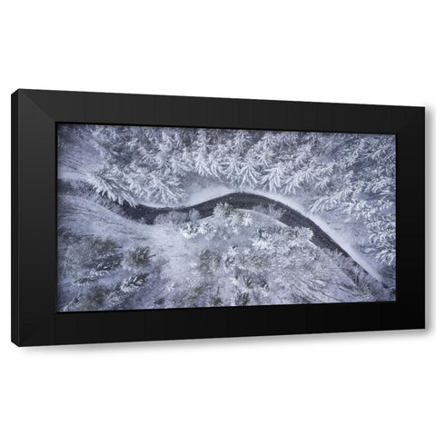 Italian Curves Black Modern Wood Framed Art Print by Doretti, Pamela