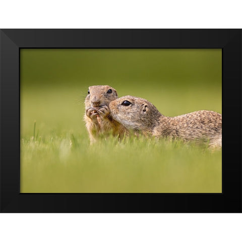 Together Black Modern Wood Framed Art Print by And Wei, Siyu