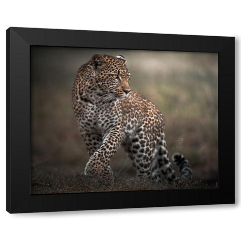 Surprise Black Modern Wood Framed Art Print with Double Matting by Sobhi, Ahmed