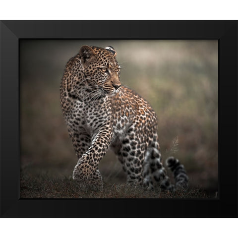 Surprise Black Modern Wood Framed Art Print by Sobhi, Ahmed